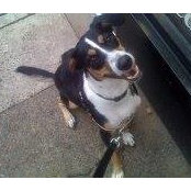 Rocco Lugrine's photo