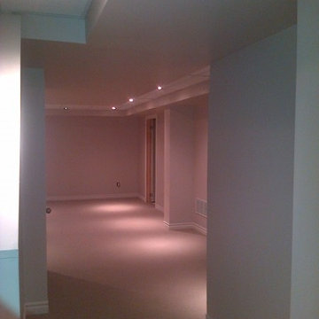 Basement Remodel