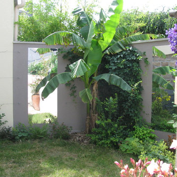 Terrasse - jardin urbain