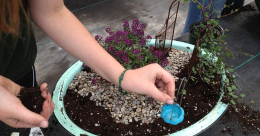 Gardening Fun: Plant a Fairy Garden