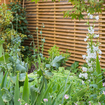 Green and white planting in this Sanctuary Garden Design in London