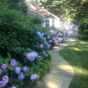 Backyard Gardens
