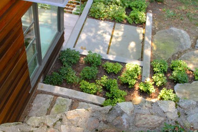 This is an example of a modern backyard garden in Boston with a garden path and natural stone pavers.