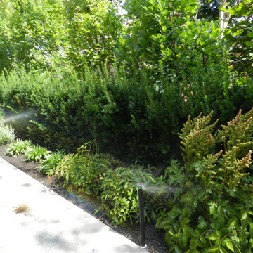 Irrigation and water features