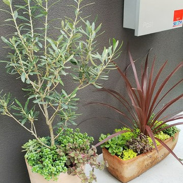 ドライガーデン　デザイン