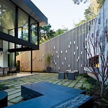 Landscape Ideas