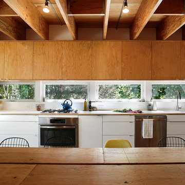 Urban Farmhouse