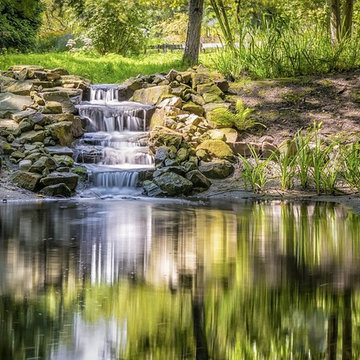 Natural Settings Elevate Health and Happiness