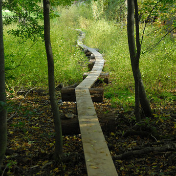 Cottage by the Lake - Charlotte, VT - Winding Path Through Woods