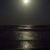 Tracy Kelly's photo