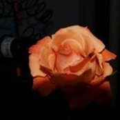 Mabel Snow's photo