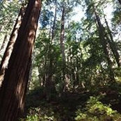 Micah Beard's photo