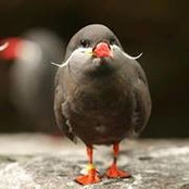 Jillian Howard's photo