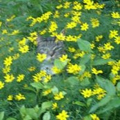 Pauline Gardner-Miller's photo