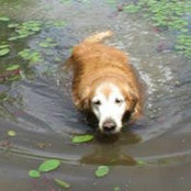 Foto von Sandy Chenoweth Bennett