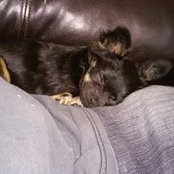 Freddy Richards's photo