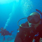 Jason Lee's photo