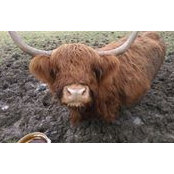 Kevin Larkin's photo