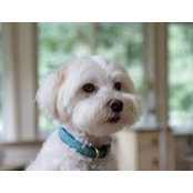 Anne Alsedek's photo