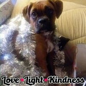 Lisa DeGraff's photo