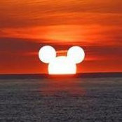 Lynn Nace's photo