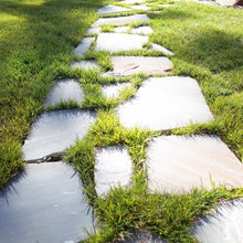 Patio Landscaping