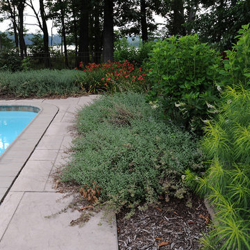 Pool Surround