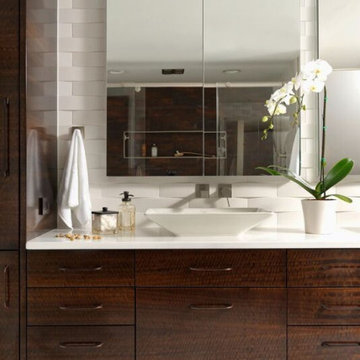 smoked veneered master bathroom