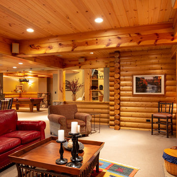 Modern Log Cabin Basement Remodel in Ann Arbor, Michigan