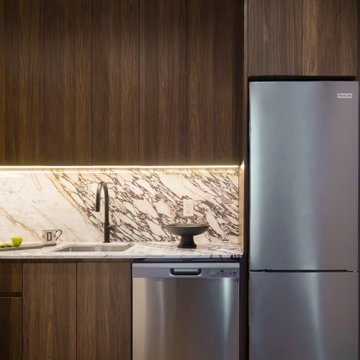 Harlem Condo Kitchen