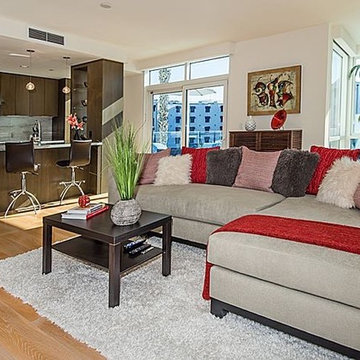 Sumptuous Urban Beach Santa Monica Condo - Los Angeles Vacant Home Staging