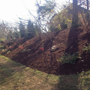 Fall Landscape Buffer Planting