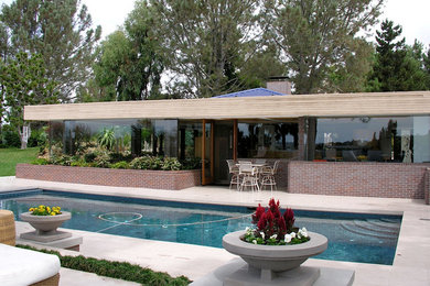 Pool - transitional pool idea in San Diego