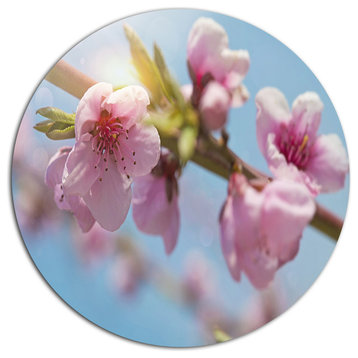 Stem Of Peach Blossom Flowers, Floral Round Metal Wall Art, 11"