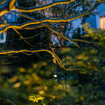 Tradd Street Garden