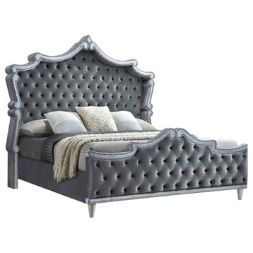 Coaster Antonella Velvet Upholstered Tufted Eastern King Bed in Gray