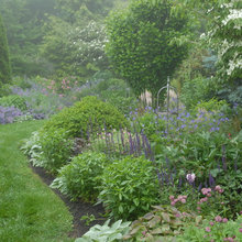 flowerbeds