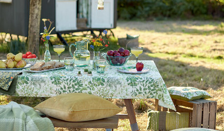 10 Ingredients for a Stylish Picnic