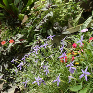 Urban Garden Spaces