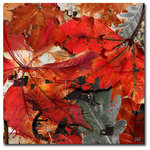 Ready2HangArt - Fall Ink XIX, Canvas Wall Art, 30"x30" - Feel the chill of a transitory autumn day in 'Fall Ink XIX' reflecting fire and ice. The imminent winter, harsh and cold hearted, creeps in on the fully turned auburn leaves; creating a dark looming energy in an otherwise vibrant piece. Handcrafted in the U.S.A., this gallery wrapped canvas art arrives ready to hang on your wall. Refine your space with an art piece from Ready2HangArt's Fall Ink collection, which will effortlessly bring a warm essence of autumn to any style of decor.