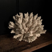 Claire Hitchen's photo