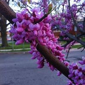 Clarissa Barrera's photo