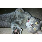 beverly swindells's photo