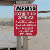 Antoine Schaeffer's photo