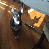 Jennifer Wolfe's photo