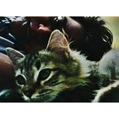 Di Hamdans foto