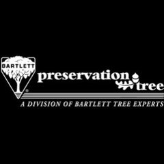 Preservation Tree