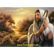 Sherouk Naguib's photo