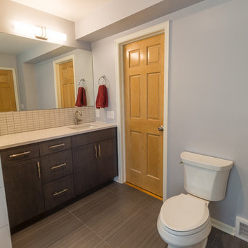 Project 3271-1 Contemporary Master Bathroom Remodel Saint Anthony MN 55418