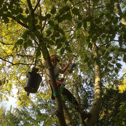 Installing a Treehouse Life Nest Swing project - Products